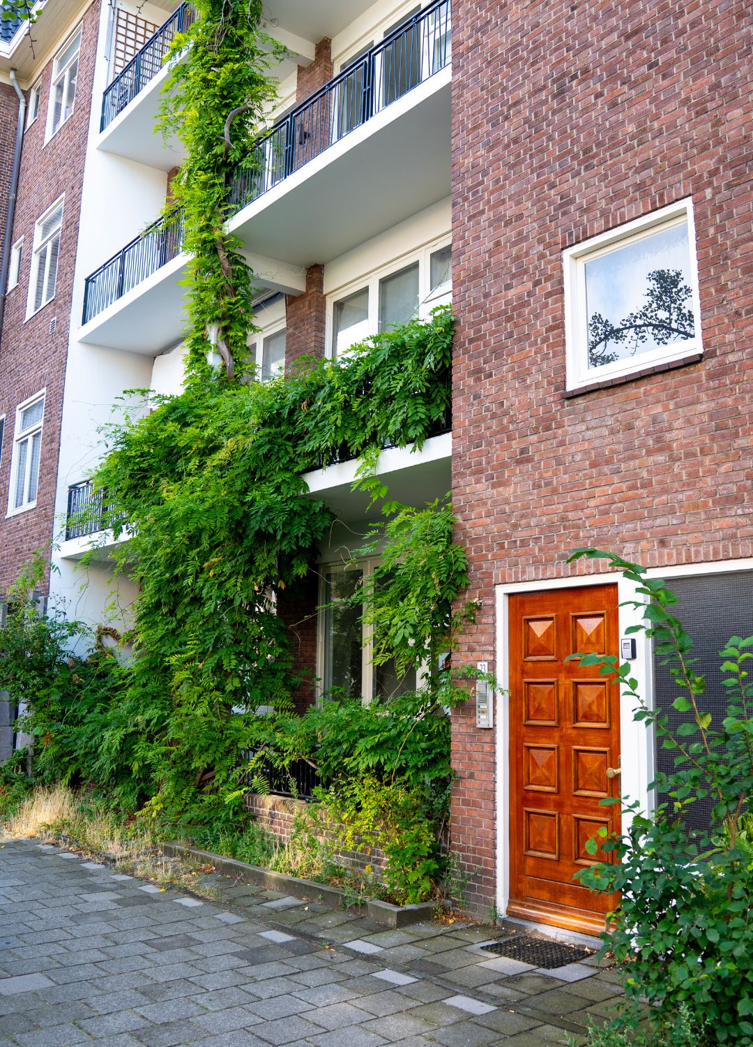 Foto's Albrecht Dürerstraat 23 Amsterdam - Onderhoudsbedrijf Schoen (2)